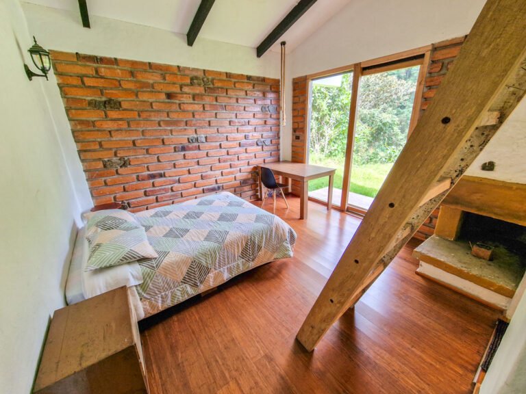 Room Bromelia 2