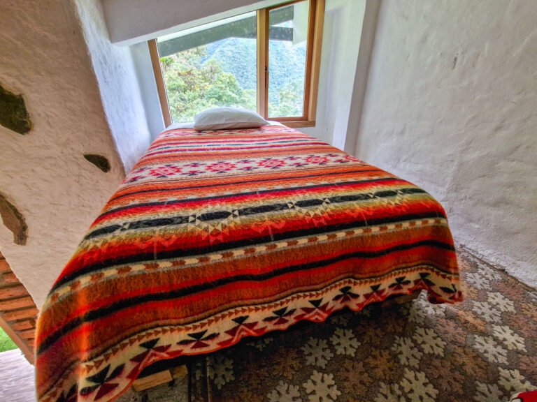 Room Bromelia 5