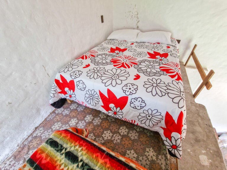 Room Bromelia 6