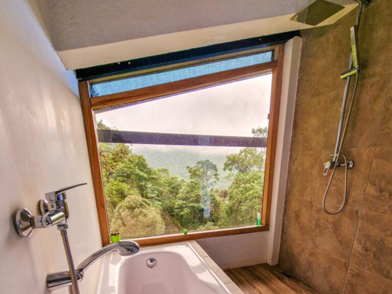 Room Colibri 5