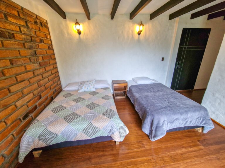 Room Oso Andino 2