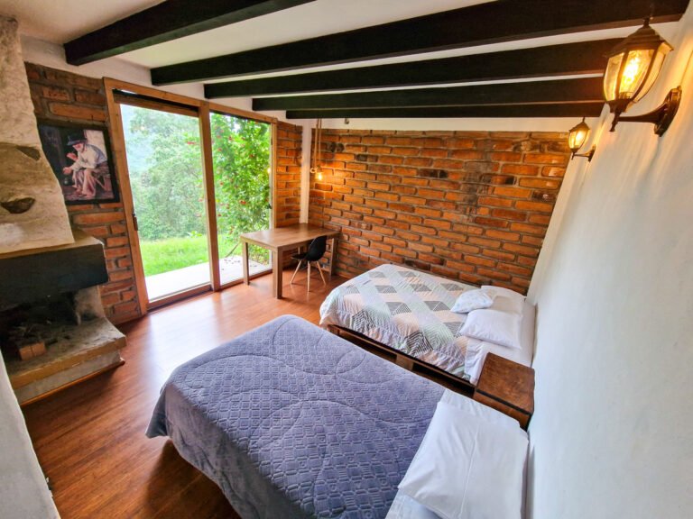 Room Oso Andino 3