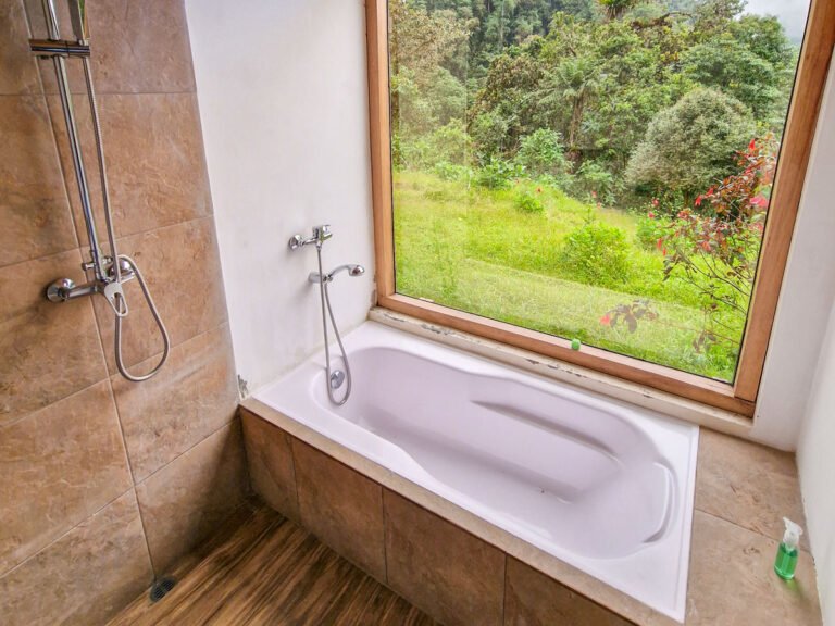 Room Oso Andino 4